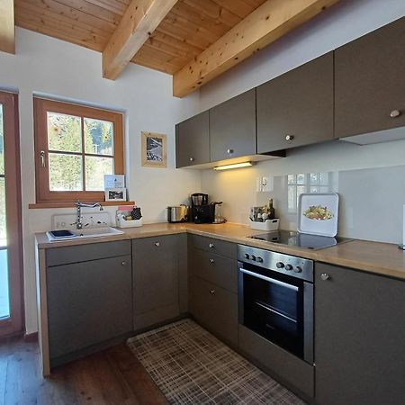 Tauerndorf Enzingerboden Ski In&Out - Steinbock Lodges Εξωτερικό φωτογραφία